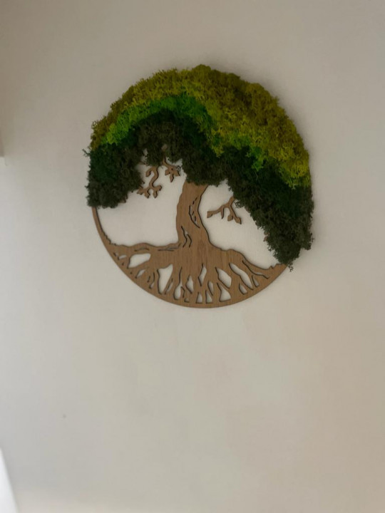  apartament 4 camere decomandate, situat în zona INEL II