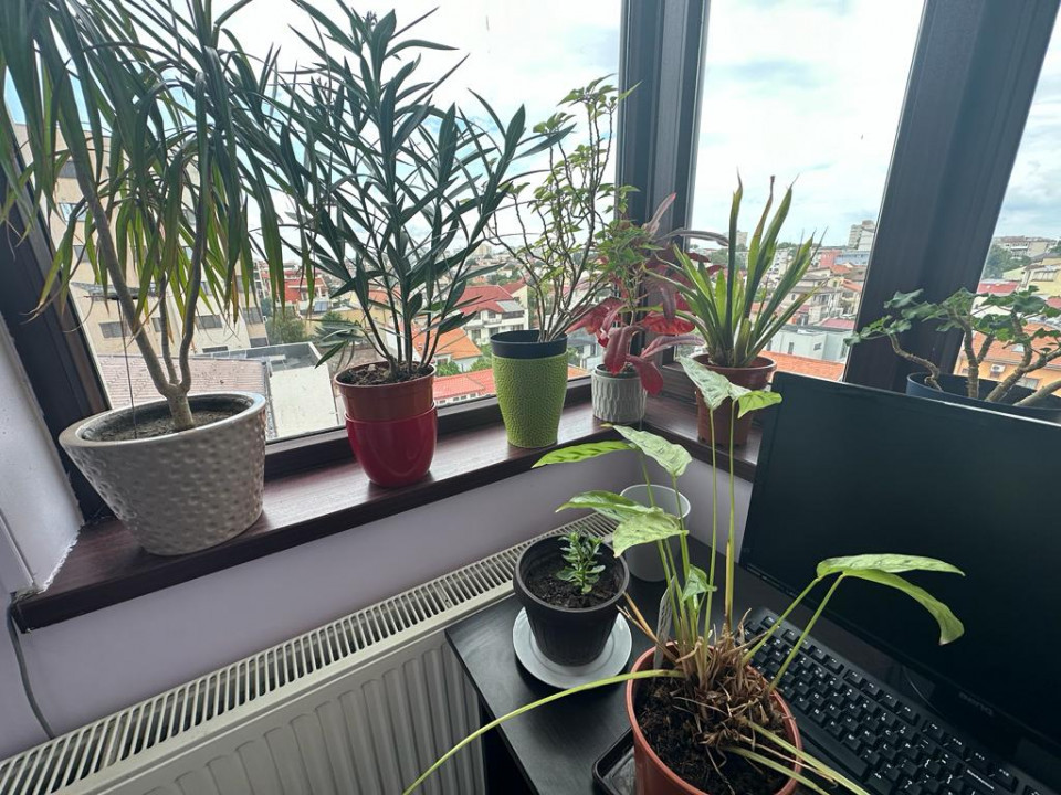 Apartament 3 camere de inchiriat in zona DELFINARIU , termen lung