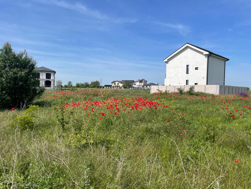 Teren intravilan in KM 5, la VETERANI - PRELUNGIREA TRACTORULUI 