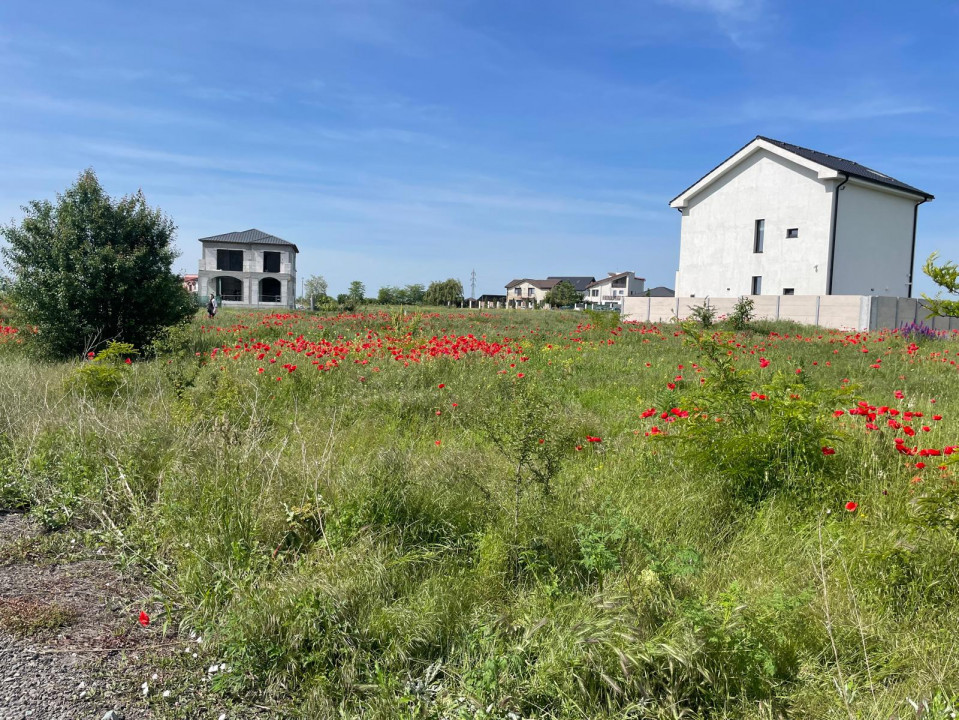 Teren intravilan in KM 5, la VETERANI - PRELUNGIREA TRACTORULUI 