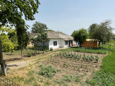 Casă situată in MIHAIL KOGALNICEANU