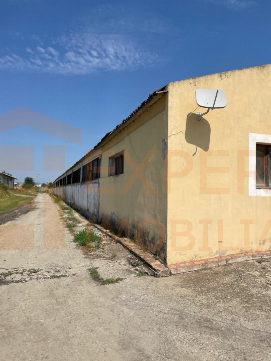 Hală situată în Ovidiu