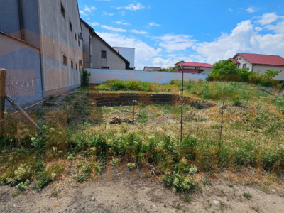 Teren intravilan  – Palazu Mare
