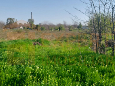 Teren 2000 mp in zona VIILE NOI