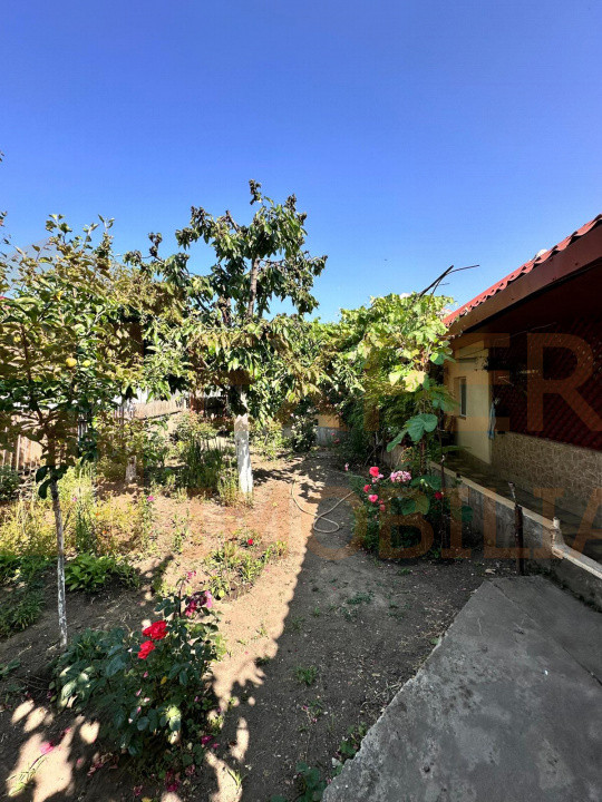 Casă spațioasă în Ovidiu