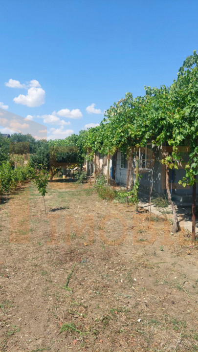 Casă situată în zona Cobadin