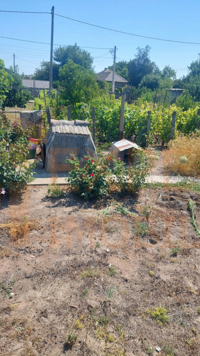 Casă situată în zona Cobadin